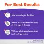 Infuse Systemic Disease Control – Bonide – 16 oz
